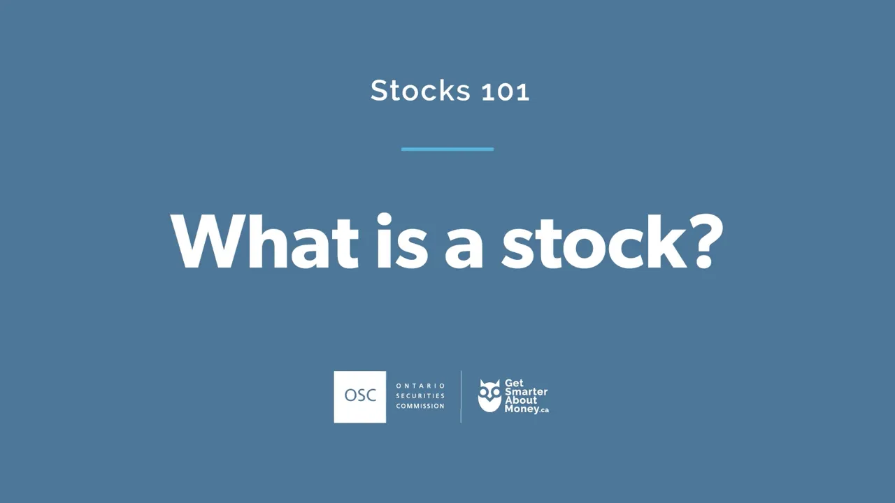 Stocks 101: What is a stock?